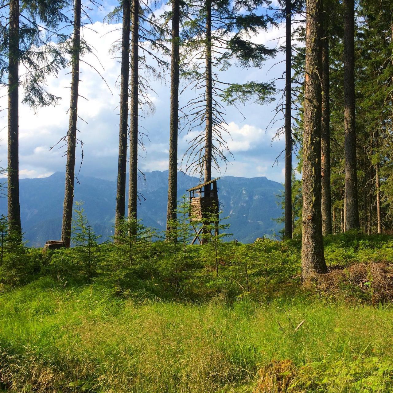Berggasthof Scharfetter Hotel เฮาส์ อิม เอนน์สทาล ภายนอก รูปภาพ
