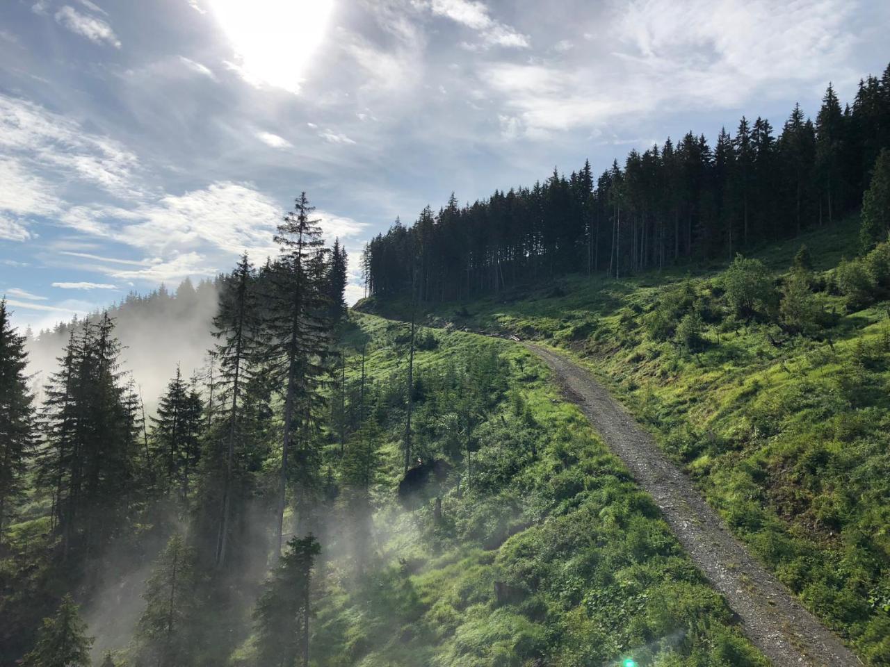 Berggasthof Scharfetter Hotel เฮาส์ อิม เอนน์สทาล ภายนอก รูปภาพ